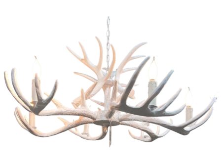 Faux Antler 6 Light Chandelier, White Online now