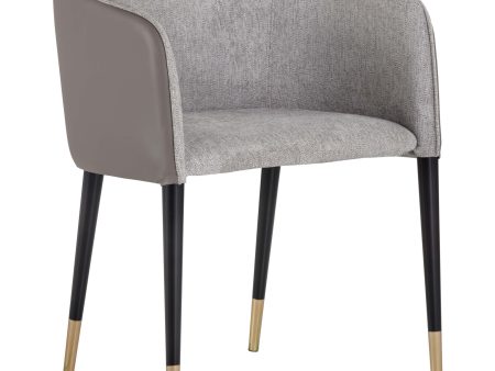 Asher Arm Chair, Flint Grey, Set of 2 Online