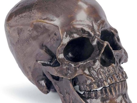 Metal Skull, Antique Bronze Online