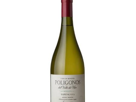 Zuccardi Poligonos Semillon Tupungato 2021 - 750ML on Sale