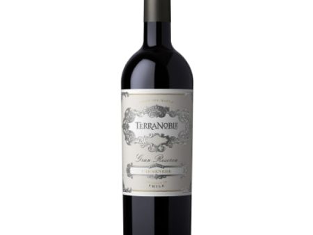 TerraNoble Gran Reserva Carmenere 2020 - 750ML Cheap